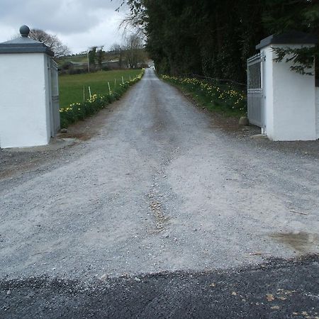 Grove Farm House Inistioge Exteriör bild