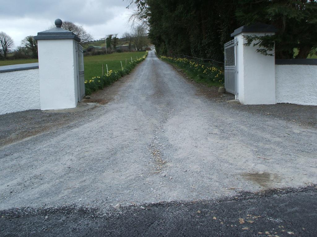 Grove Farm House Inistioge Exteriör bild